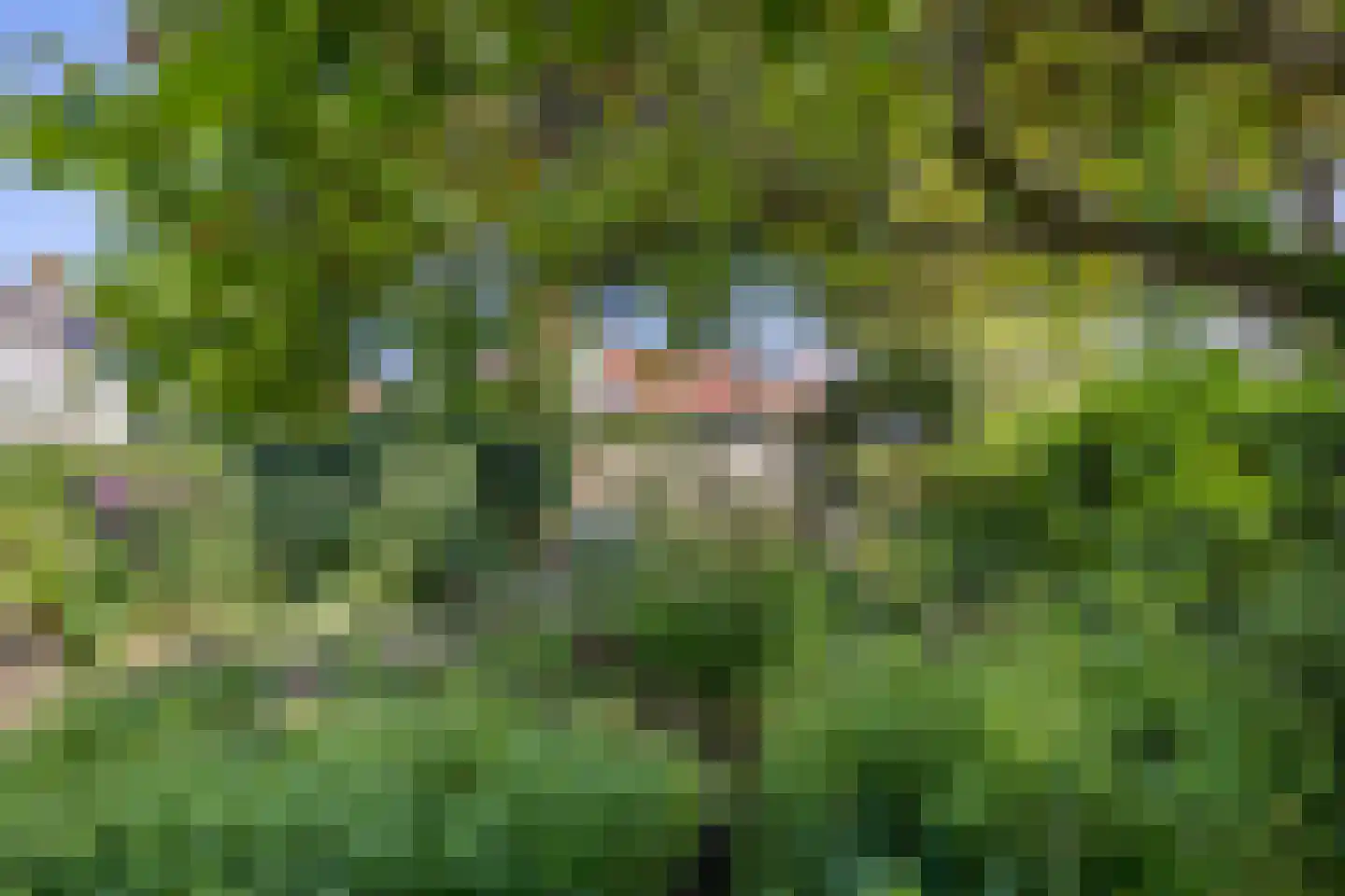 Wattlaan 7 Utrecht thumbnail 15