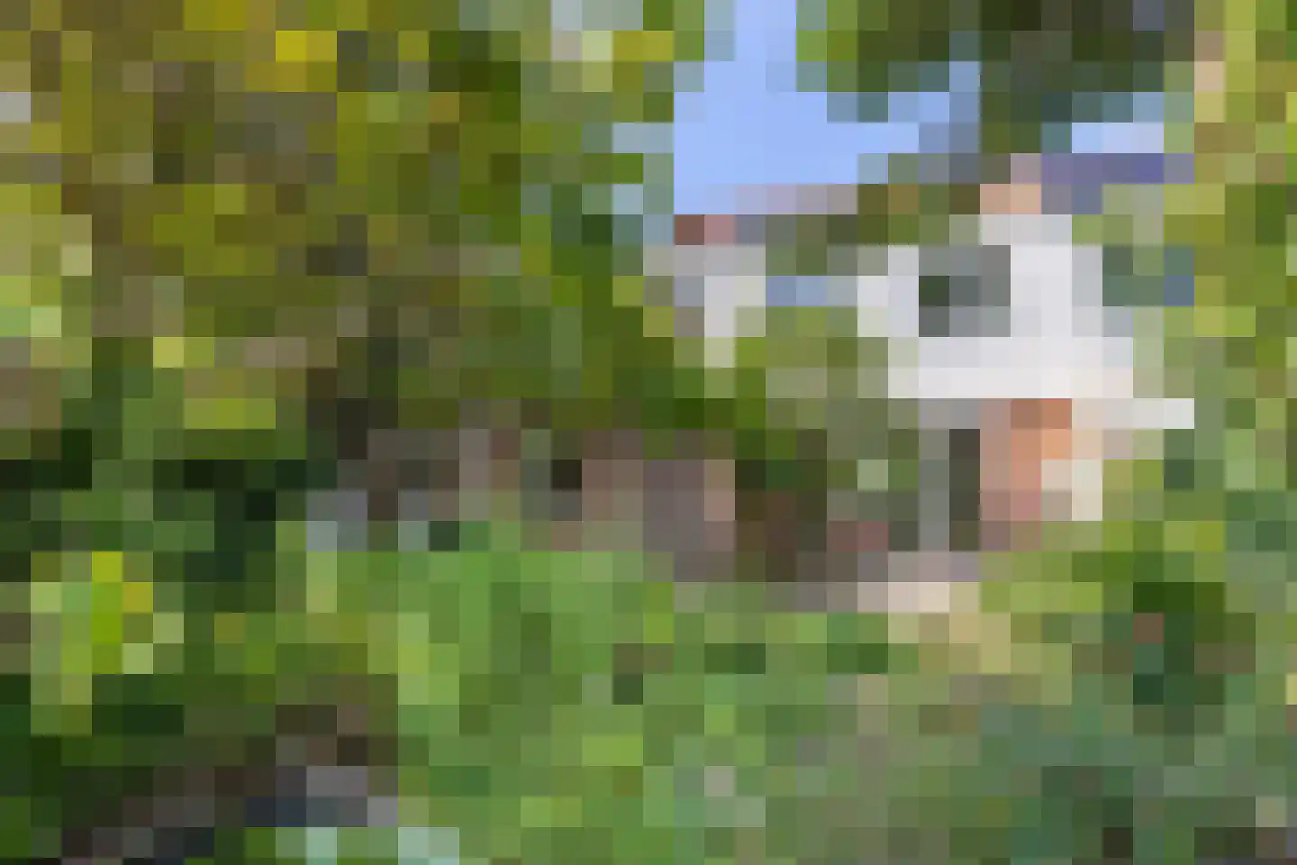 Wattlaan 7 Utrecht thumbnail 16