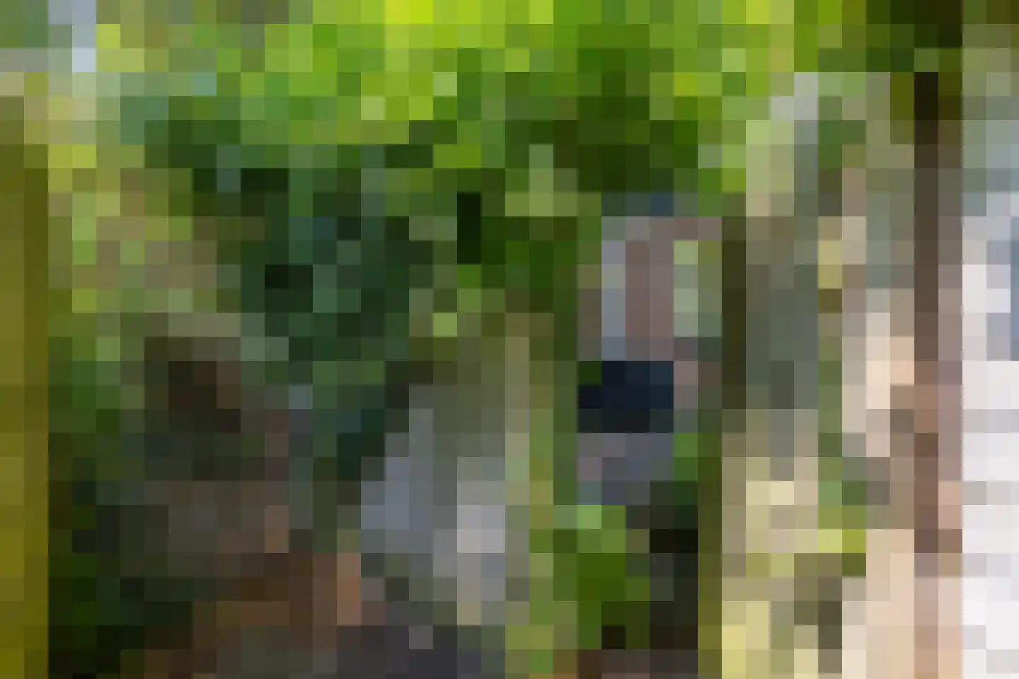 Wattlaan 7 Utrecht thumbnail 18
