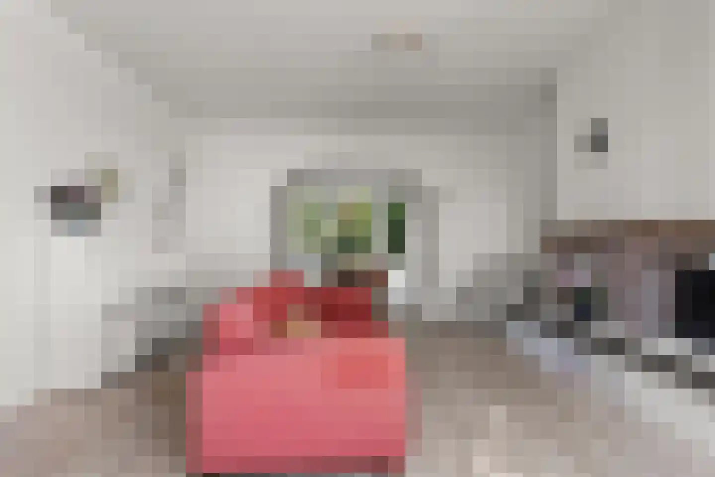 Wattlaan 7 Utrecht thumbnail 27