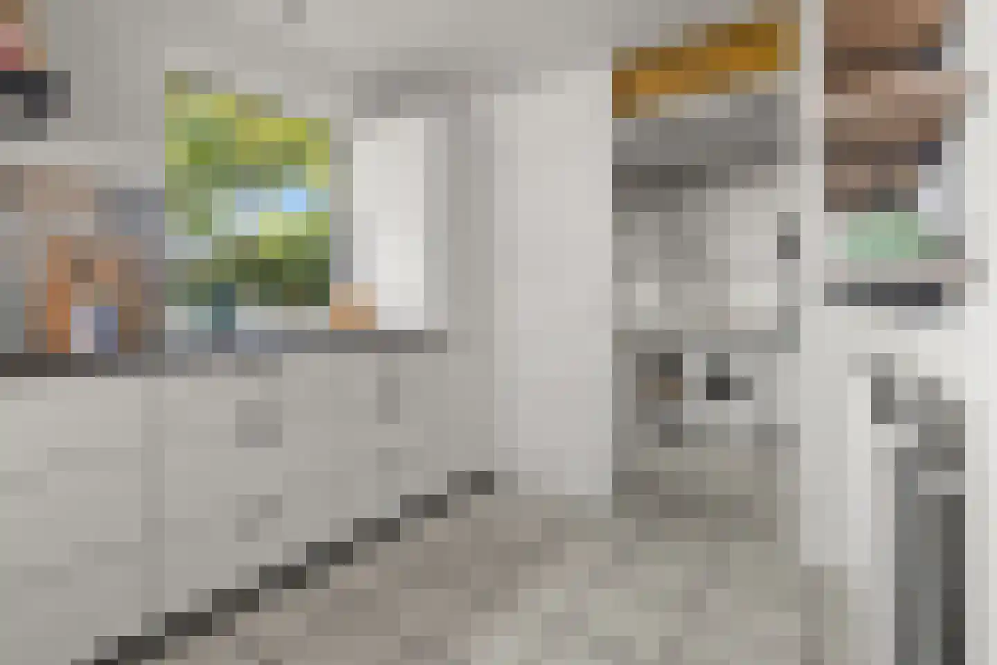 Wattlaan 7 Utrecht thumbnail 32