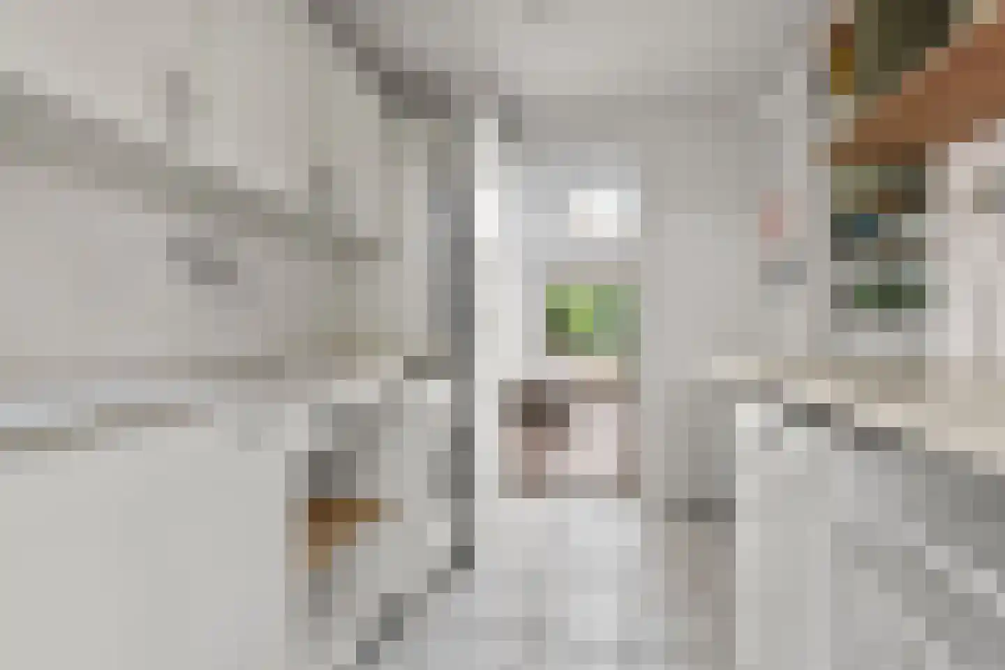 Wattlaan 7 Utrecht thumbnail 36