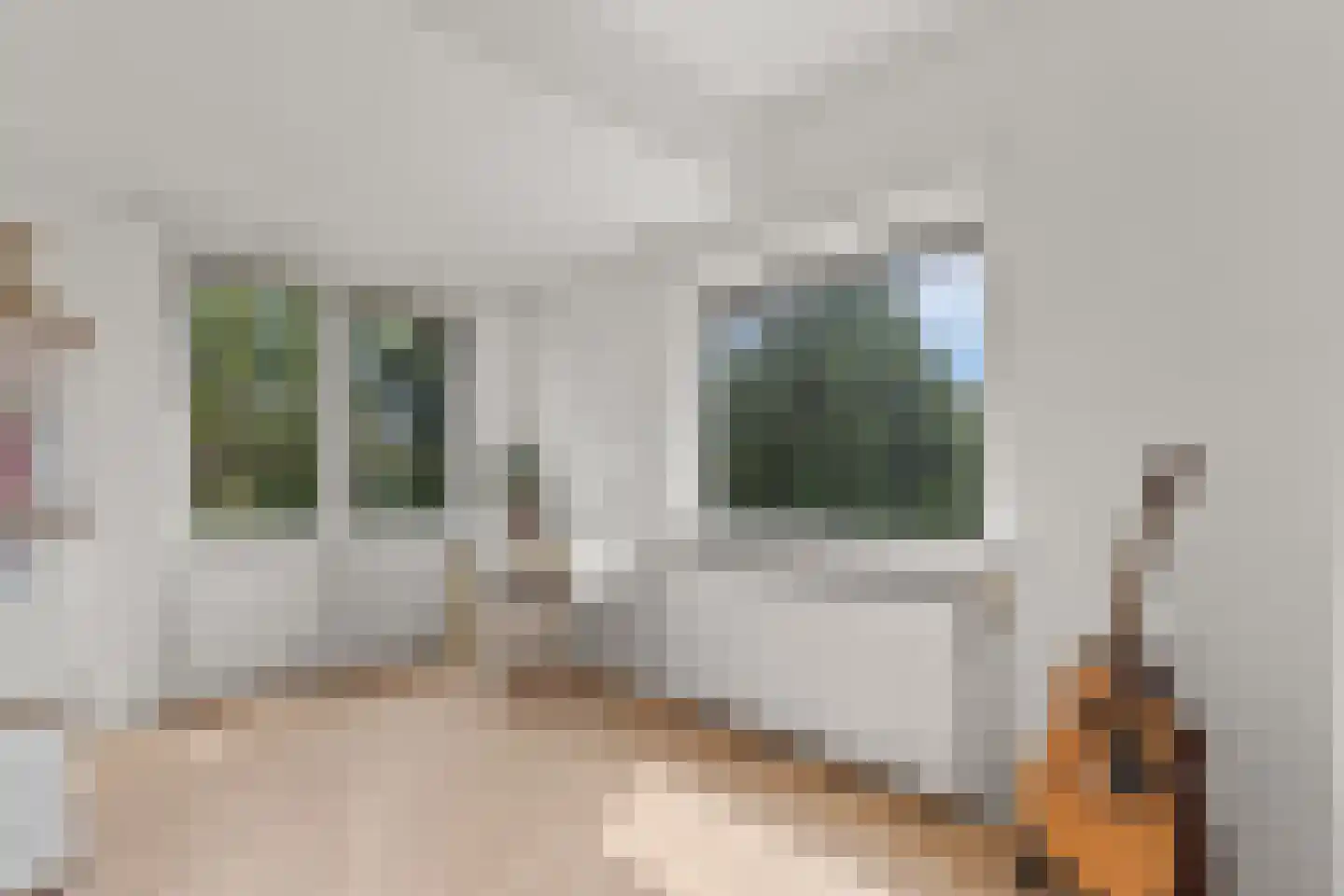 Wattlaan 7 Utrecht thumbnail 46