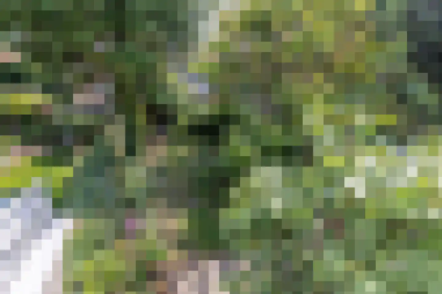 Wattlaan 7 Utrecht thumbnail 51