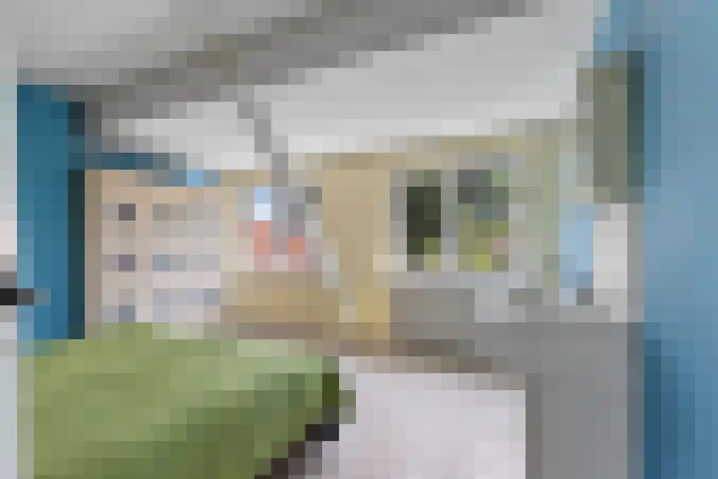 Wattlaan 7 Utrecht thumbnail 58