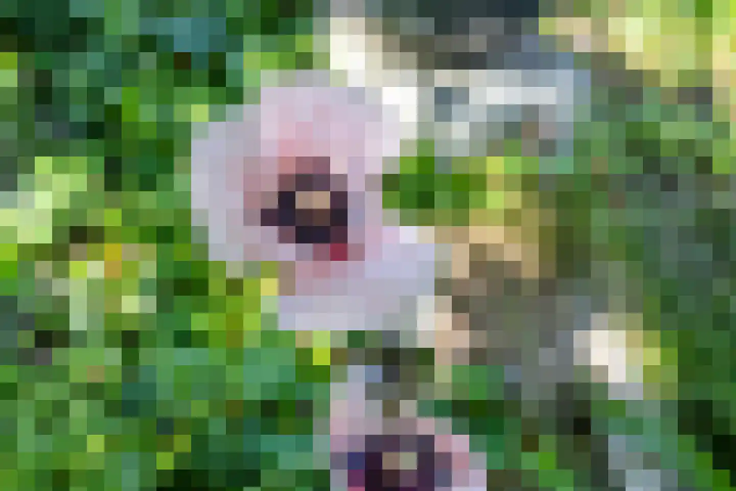 Wattlaan 7 Utrecht thumbnail 68
