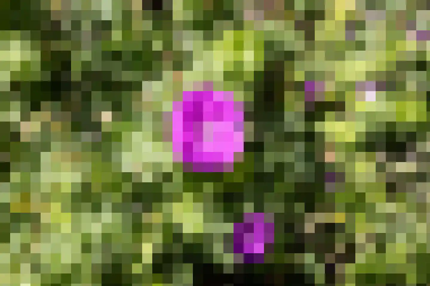 Wattlaan 7 Utrecht thumbnail 69