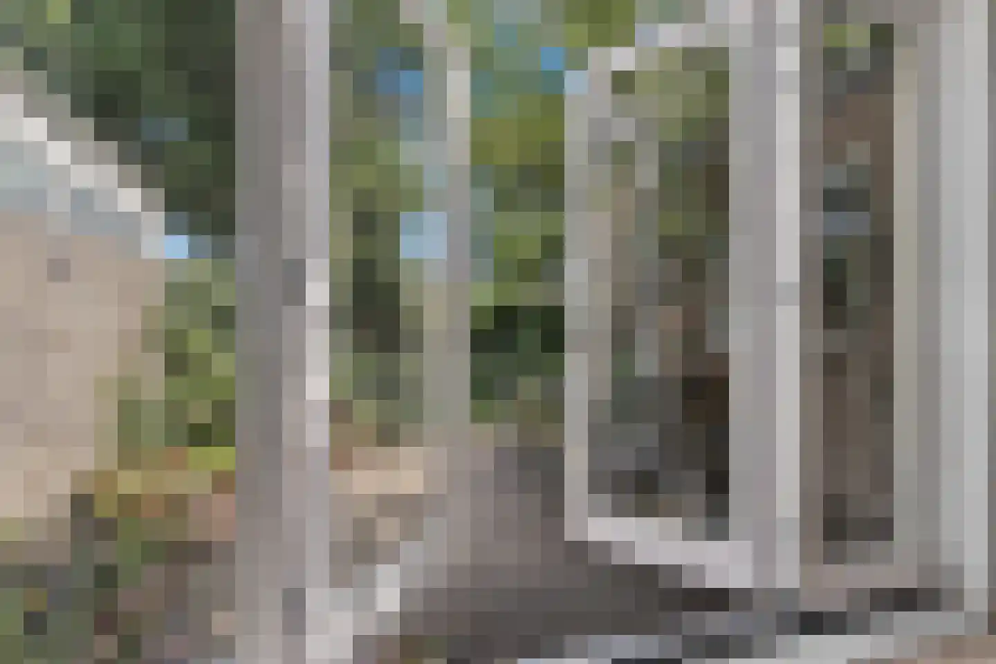 Wattlaan 7 Utrecht thumbnail 9