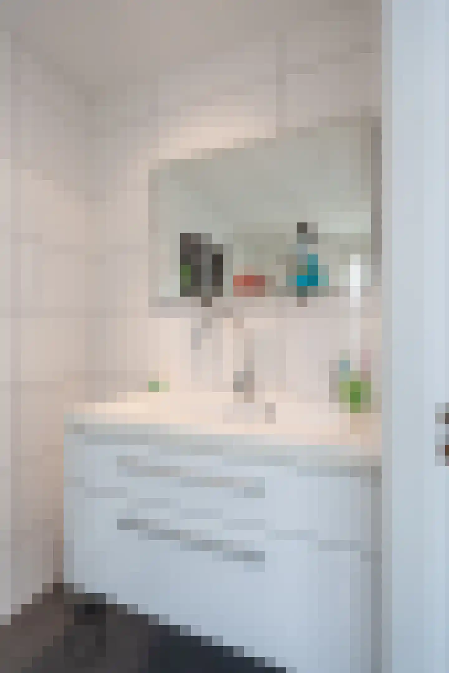 Wattstraat 1 a Tilburg thumbnail 14
