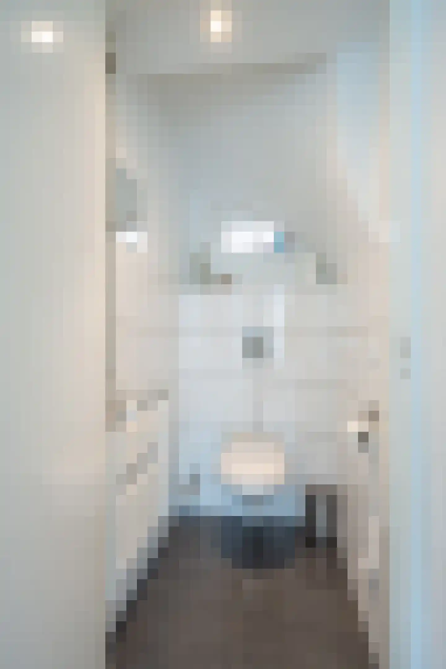 Wattstraat 1 a Tilburg thumbnail 4