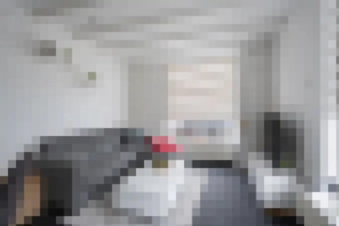 Wattstraat 1 a Tilburg thumbnail 5