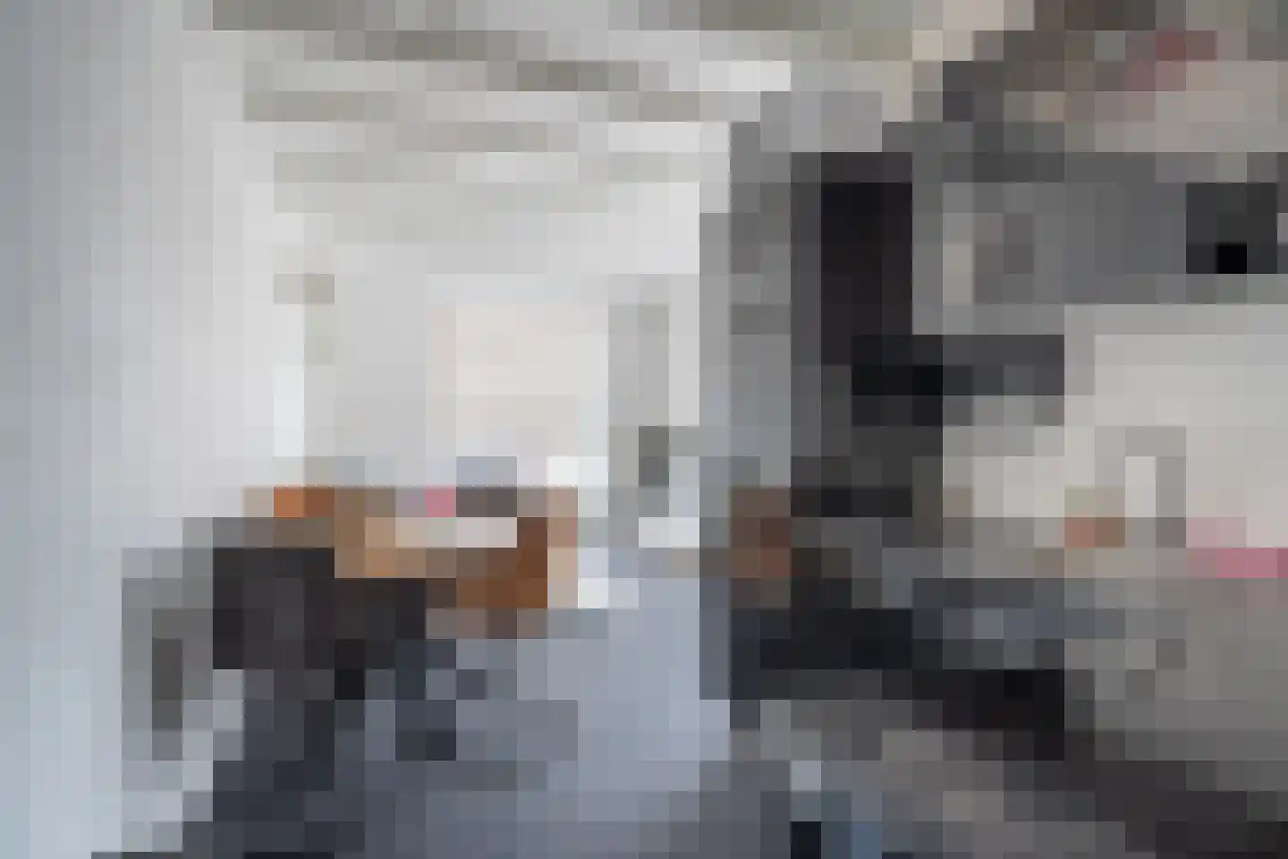 Wattstraat 1 a Tilburg thumbnail 9