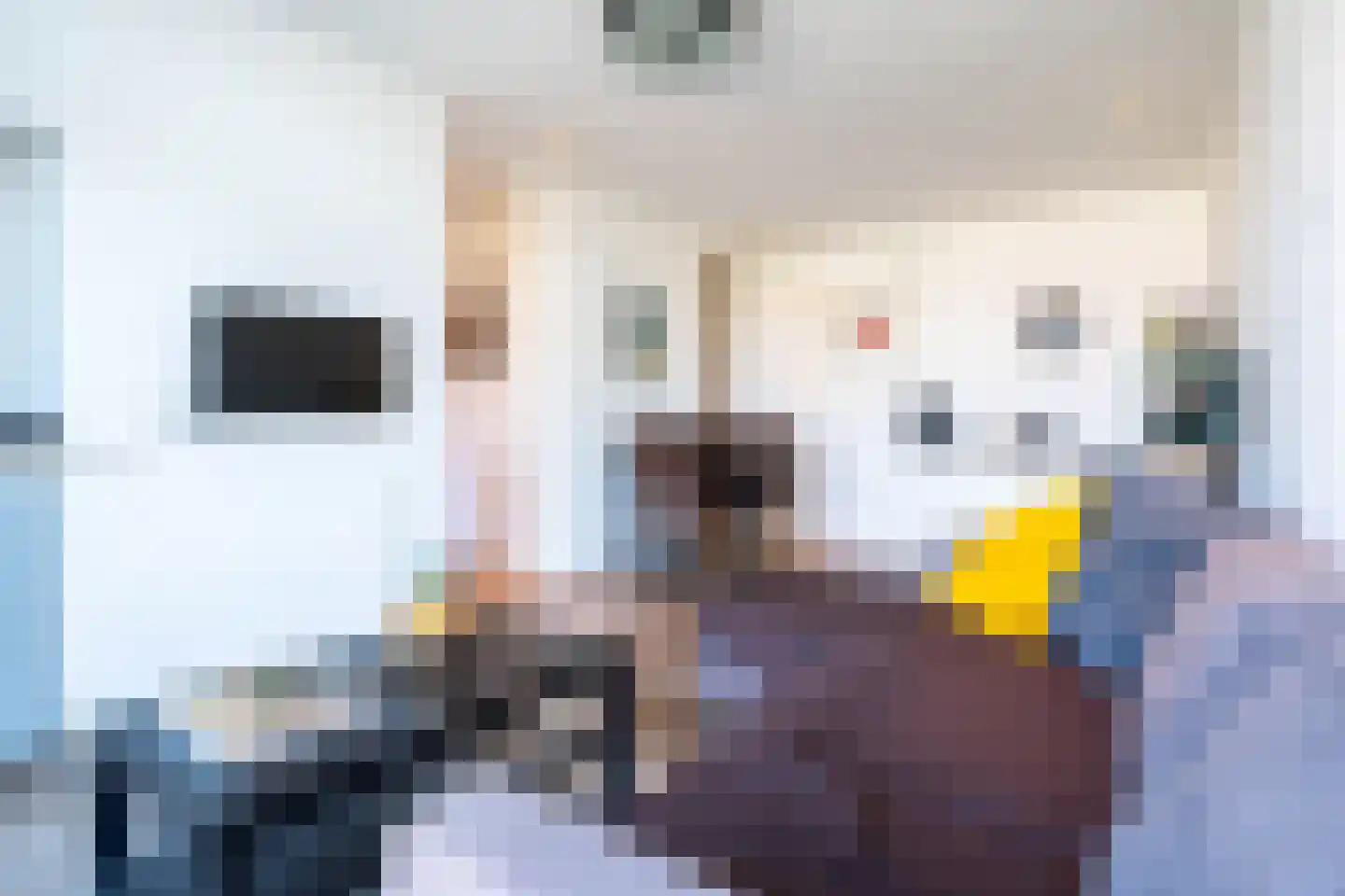 Wattstraat 10 A Breda thumbnail 7