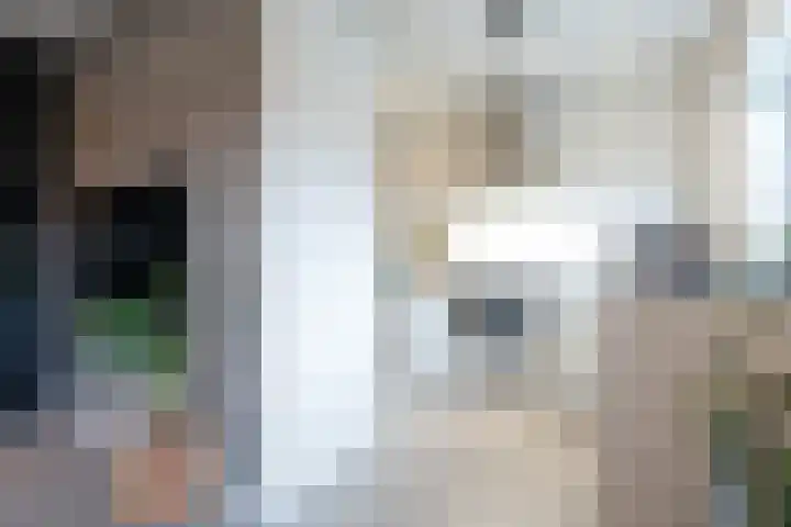 Wattstraat 10 Breda thumbnail 11