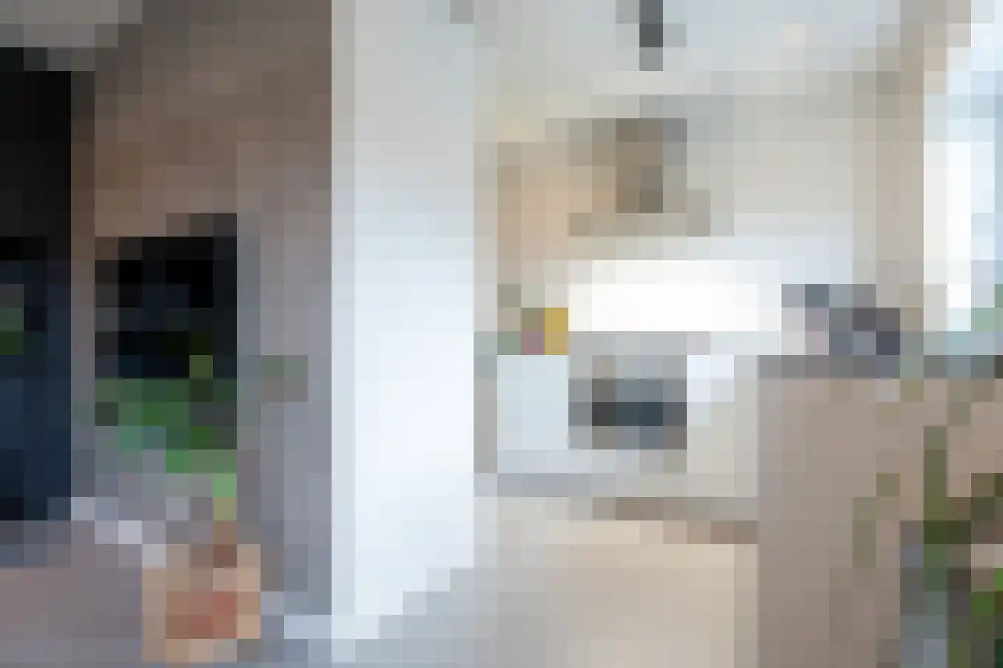 Wattstraat 10 Breda thumbnail 11