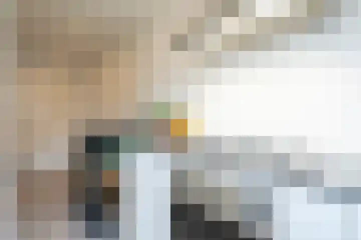 Wattstraat 10 Breda thumbnail 14