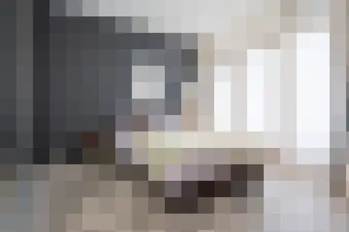Wattstraat 10 Breda thumbnail 16