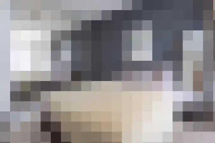 Wattstraat 10 Breda thumbnail 17
