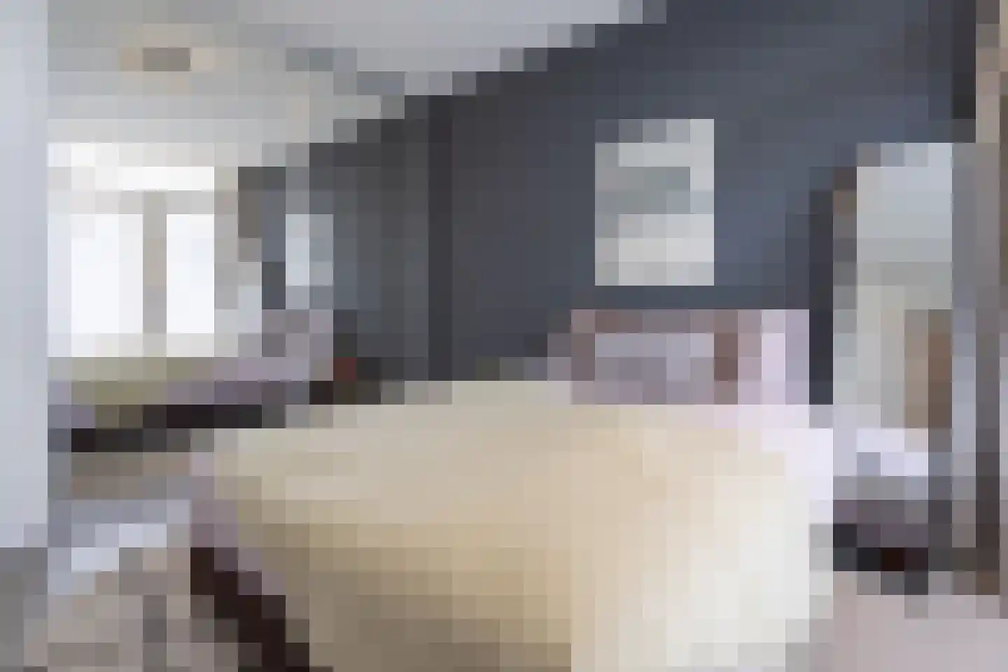 Wattstraat 10 Breda thumbnail 17