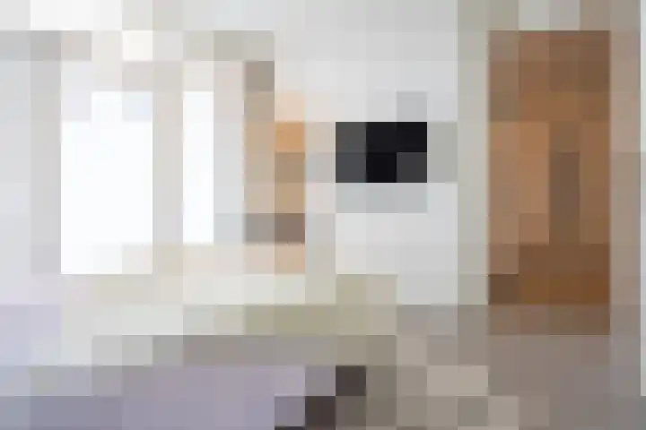 Wattstraat 10 Breda thumbnail 18
