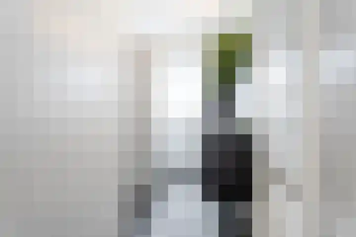 Wattstraat 10 Breda thumbnail 19