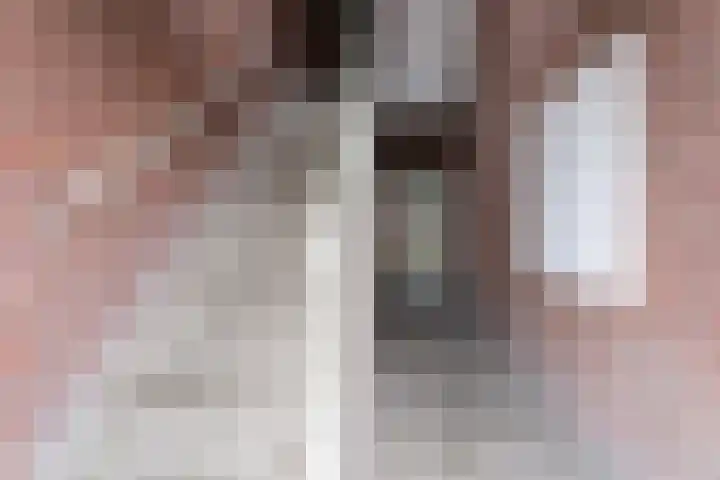 Wattstraat 10 Breda thumbnail 23