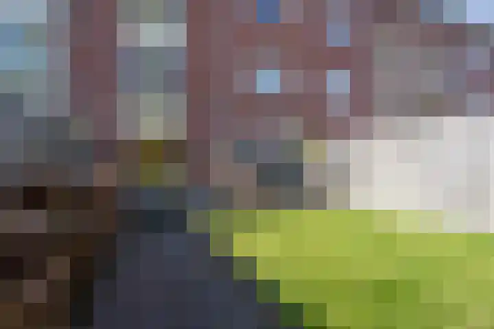 Wattstraat 10 Breda thumbnail 29