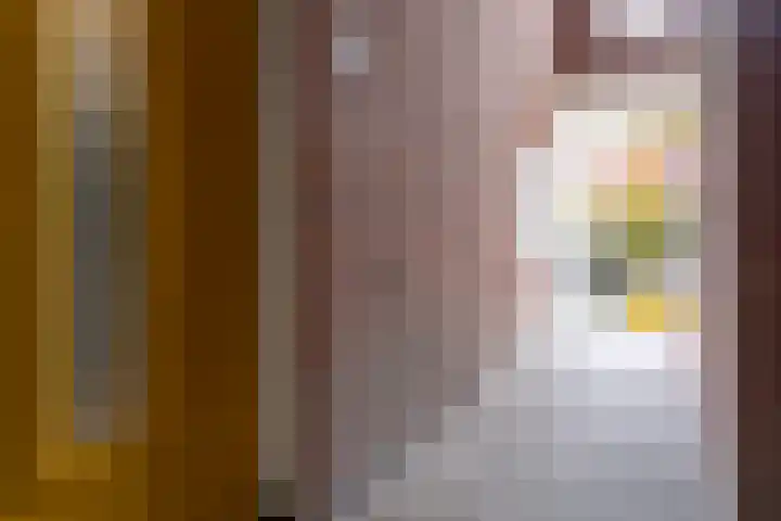 Wattstraat 10 Breda thumbnail 35