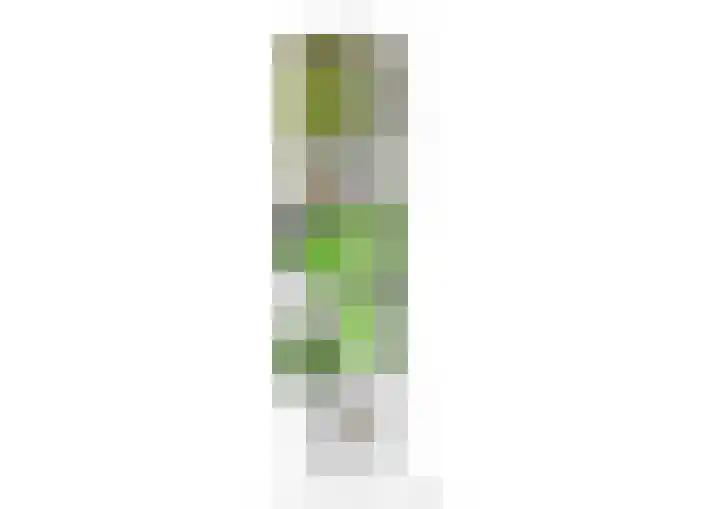 Wattstraat 10 Breda thumbnail 38