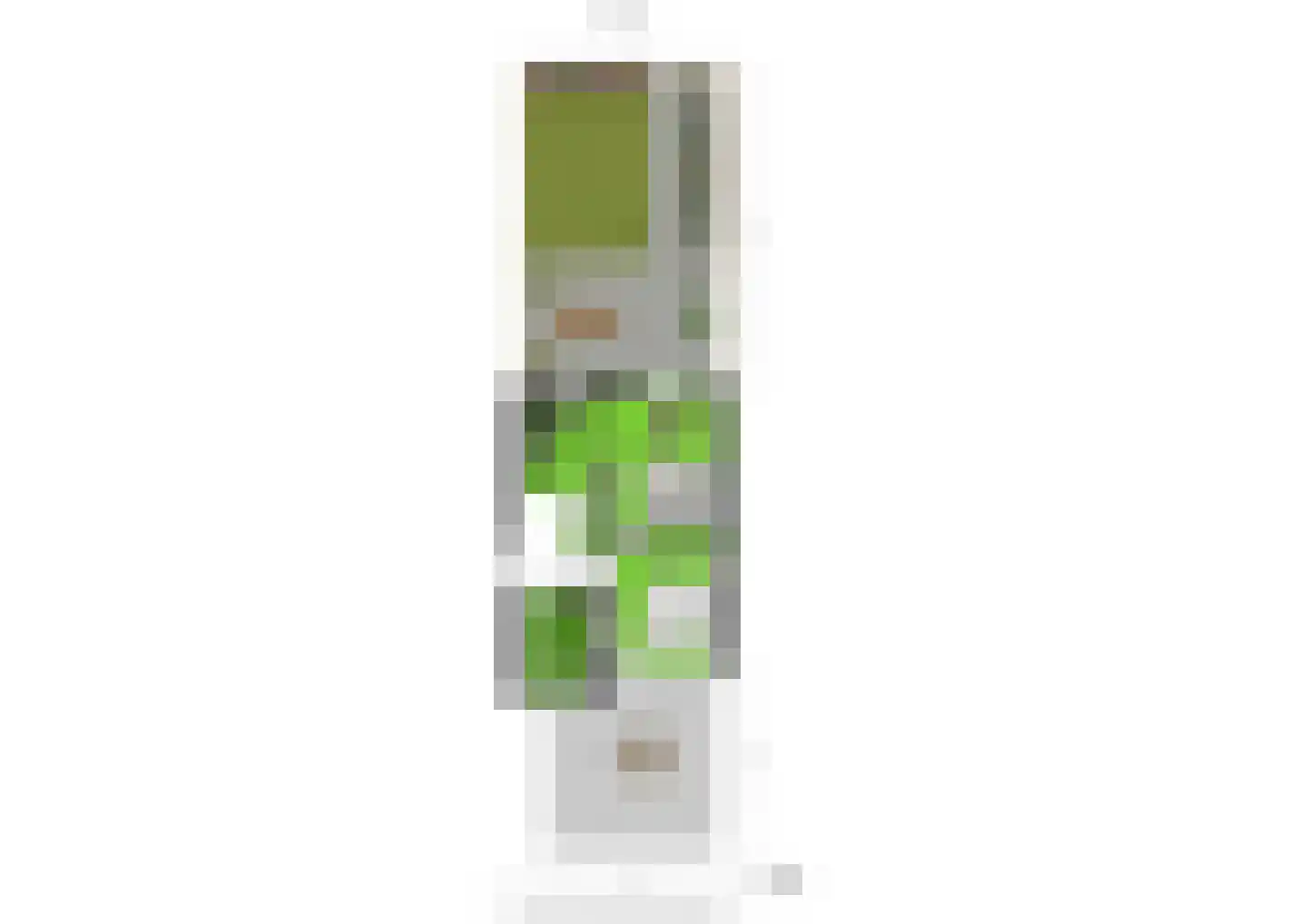 Wattstraat 10 Breda thumbnail 38