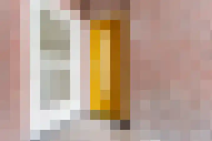 Wattstraat 10 Breda thumbnail 4