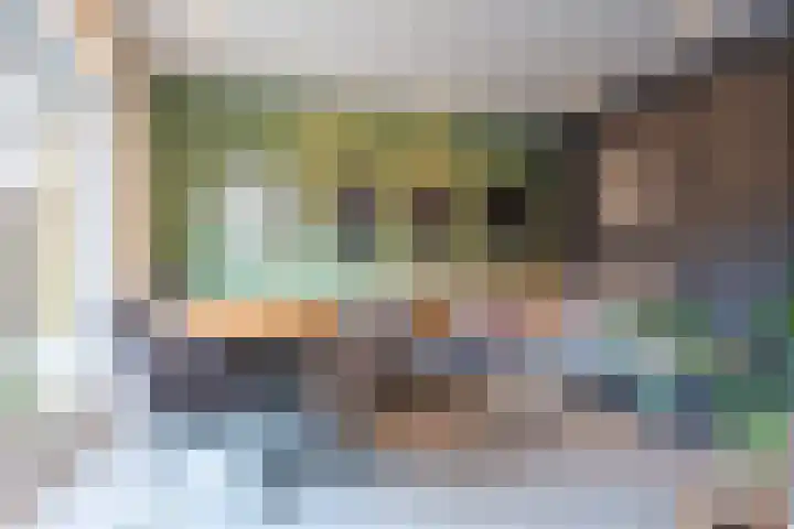 Wattstraat 10 Breda thumbnail 8
