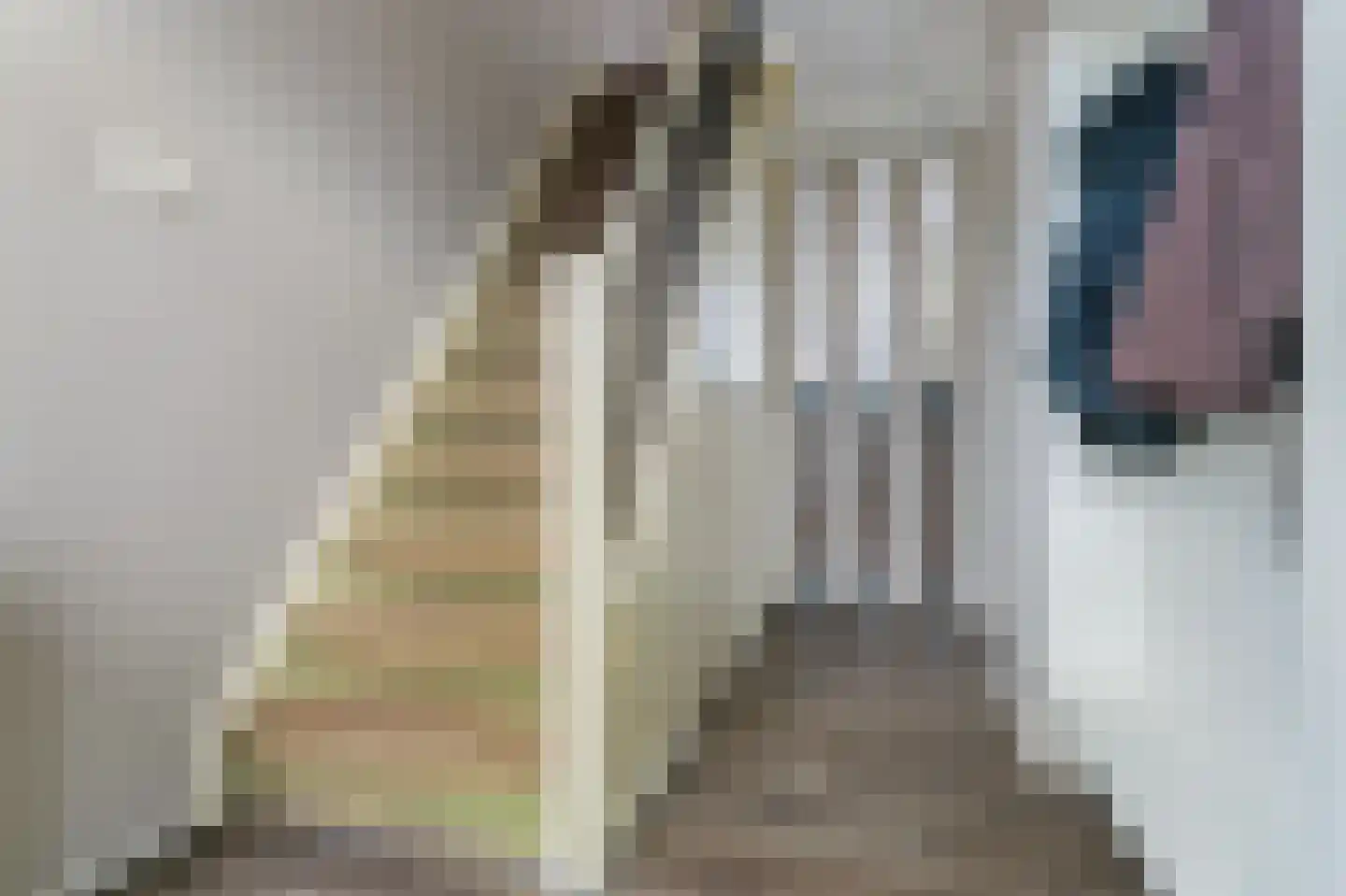 Wattstraat 11 Badhoevedorp thumbnail 18