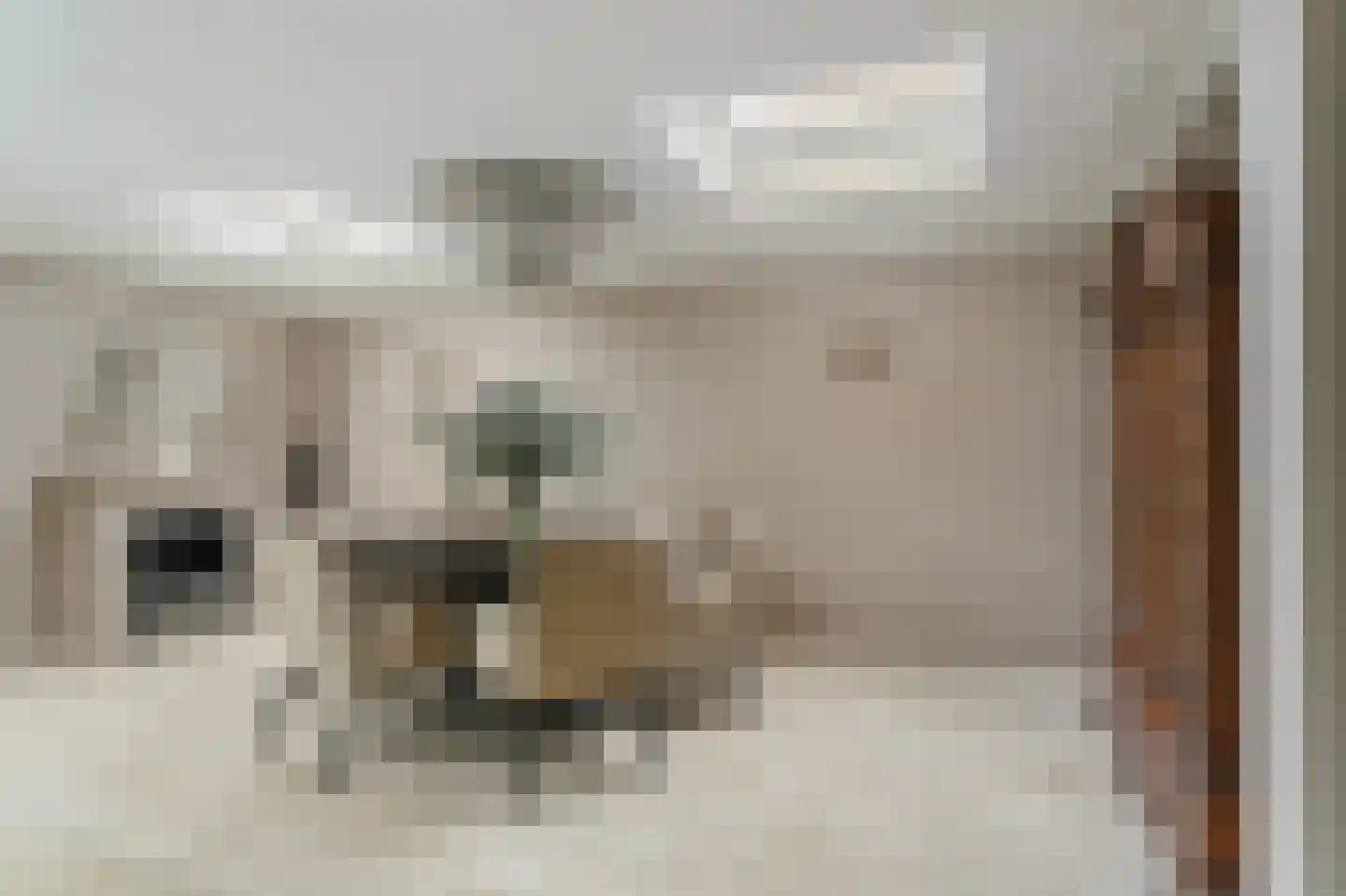 Wattstraat 11 Badhoevedorp thumbnail 5
