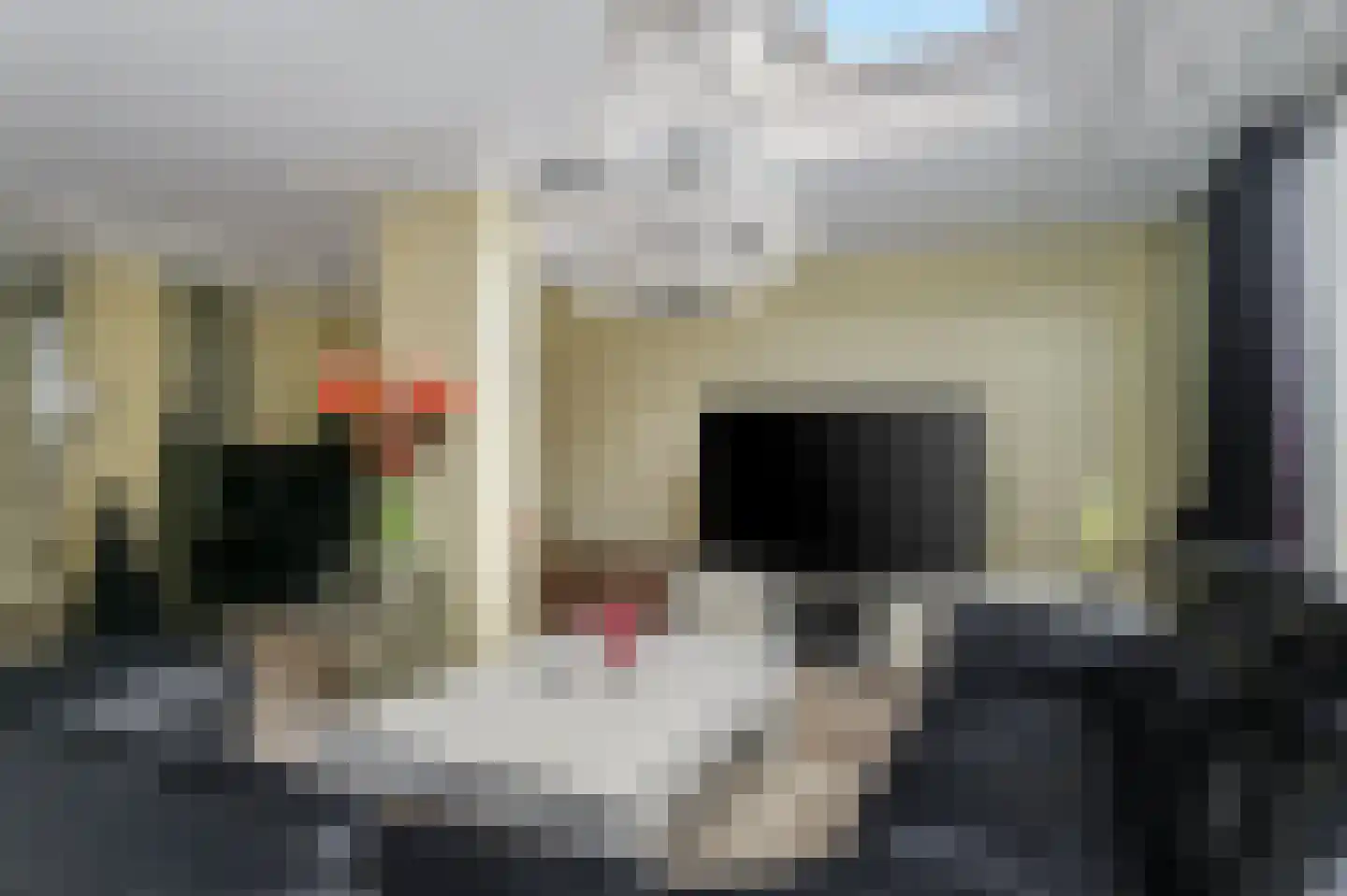 Wattstraat 11 Badhoevedorp thumbnail 6