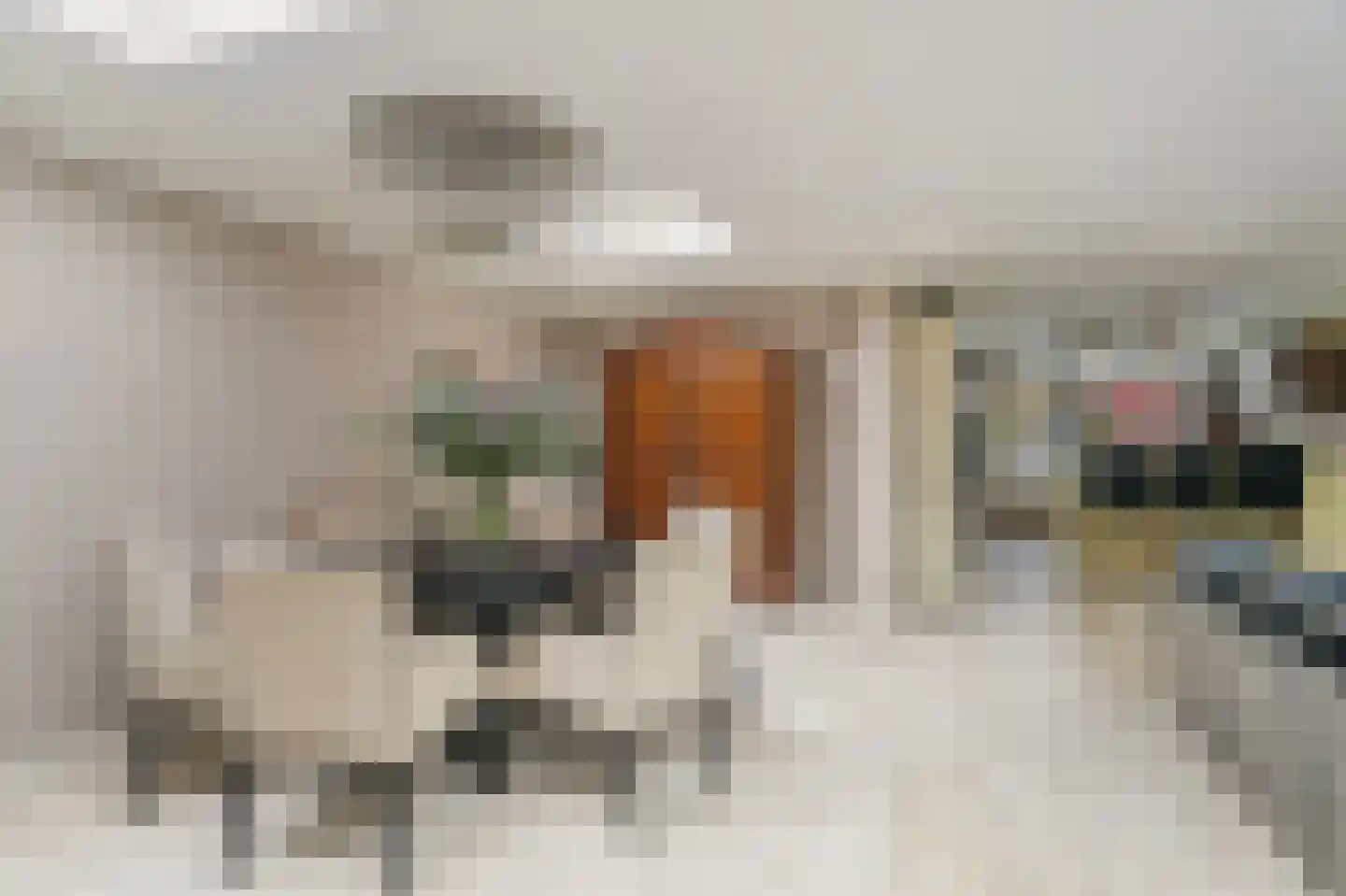 Wattstraat 11 Badhoevedorp thumbnail 9