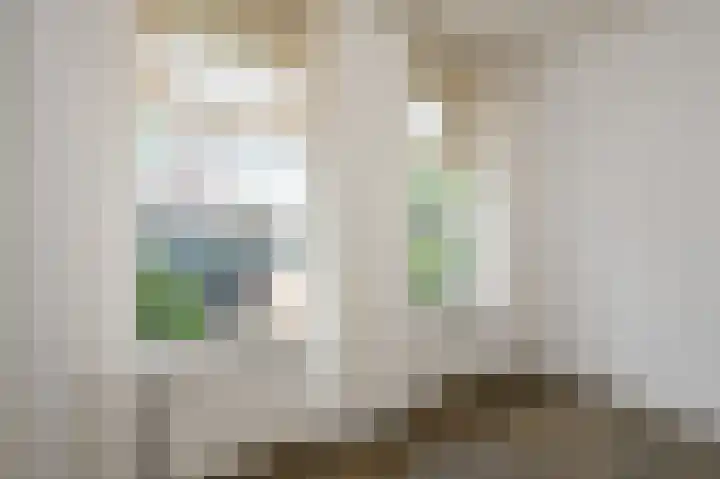 Wattstraat 11 Den Haag thumbnail 13