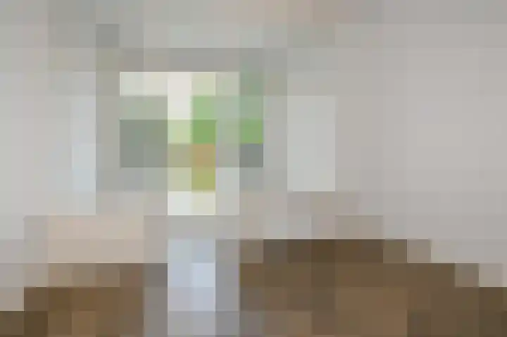 Wattstraat 11 Den Haag thumbnail 17