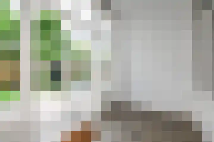 Wattstraat 11 Den Haag thumbnail 18