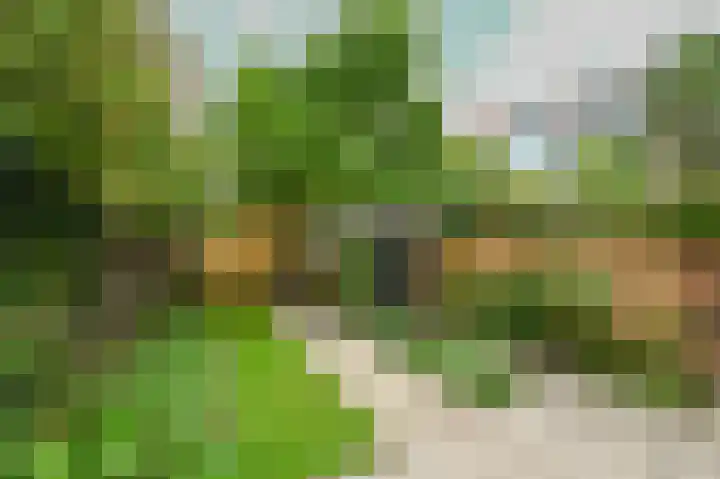 Wattstraat 11 Den Haag thumbnail 22