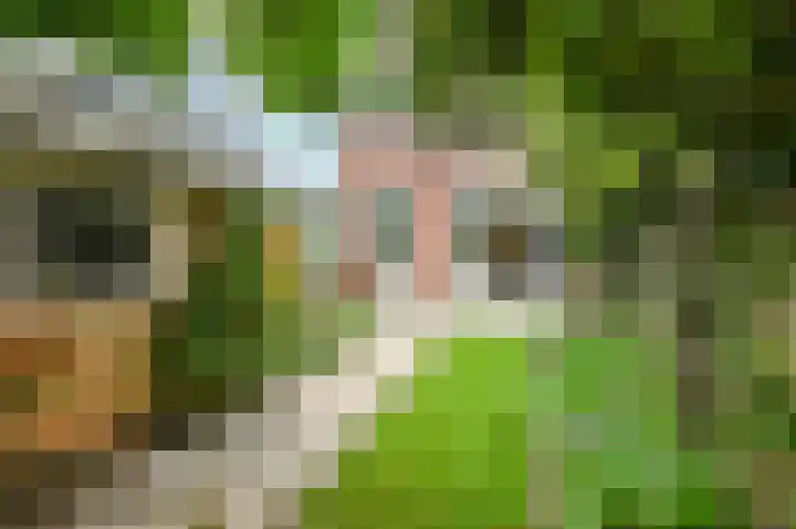 Wattstraat 11 Den Haag thumbnail 23