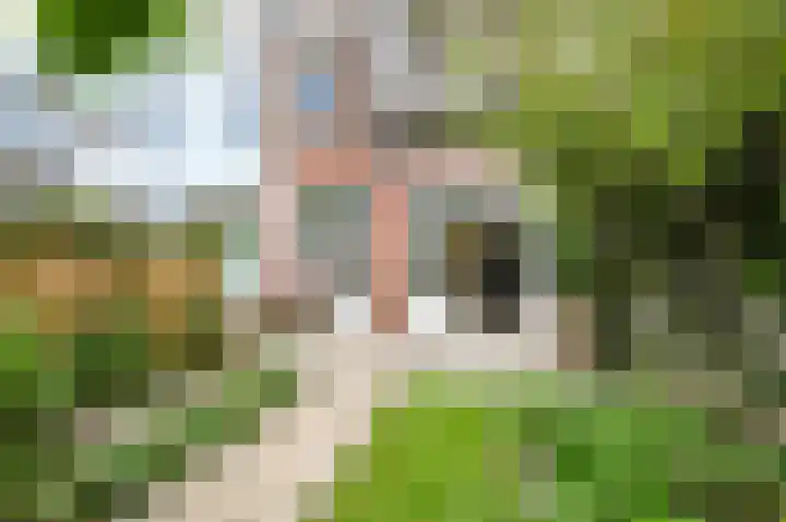 Wattstraat 11 Den Haag thumbnail 24