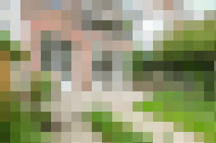 Wattstraat 11 Den Haag thumbnail 25
