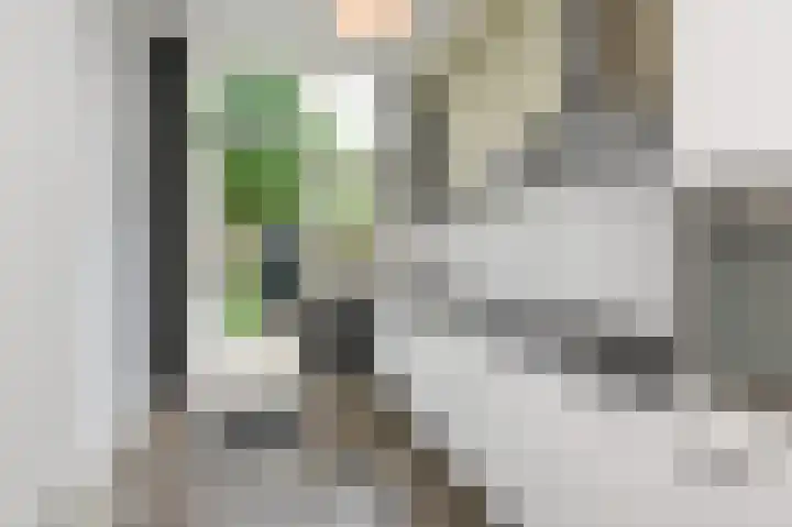 Wattstraat 11 Den Haag thumbnail 34