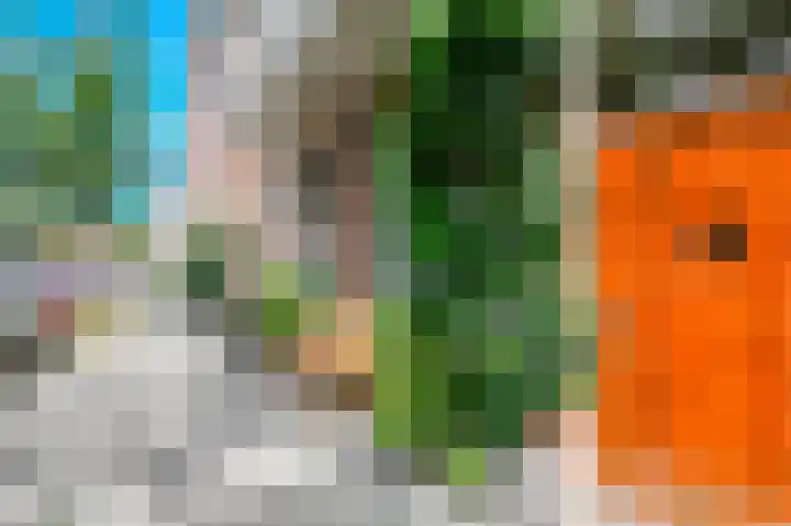 Wattstraat 11 Den Haag thumbnail 4