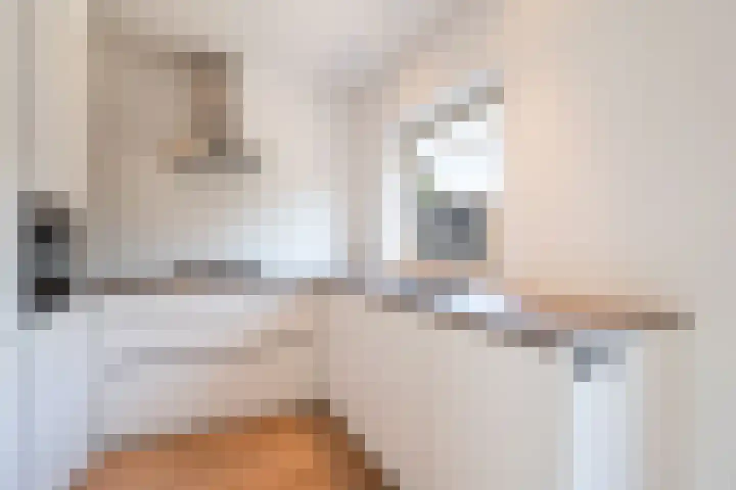Wattstraat 14 Breda thumbnail 17