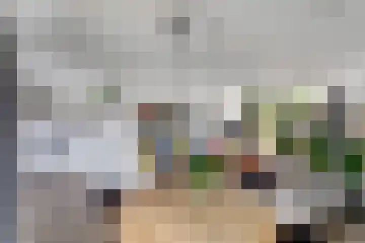 Wattstraat 16 B Breda thumbnail 10