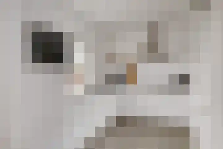 Wattstraat 16 B Breda thumbnail 11