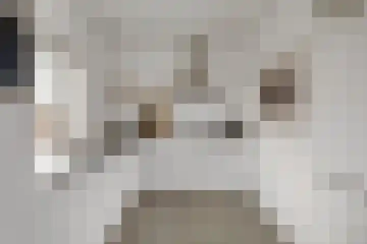 Wattstraat 16 B Breda thumbnail 12