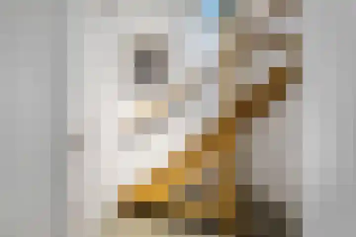 Wattstraat 16 B Breda thumbnail 15
